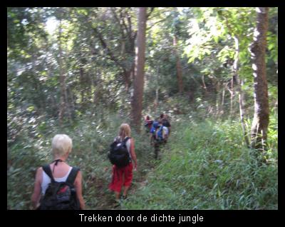 Trekken door de dichte jungle