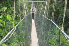 Taman Negara